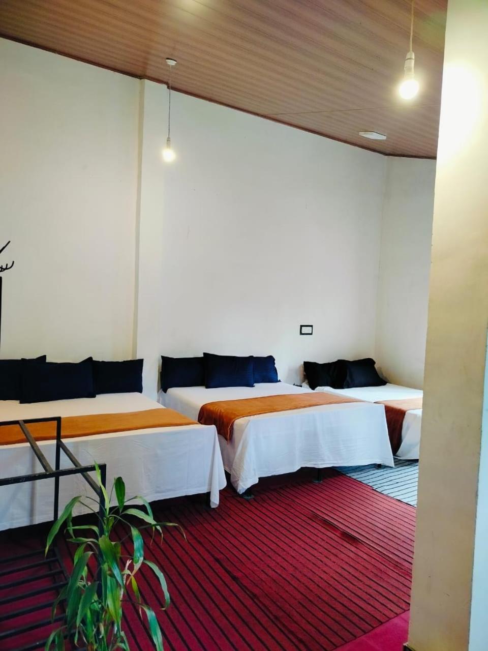 Niwasa House Hotel Nuwara Eliya Exterior photo
